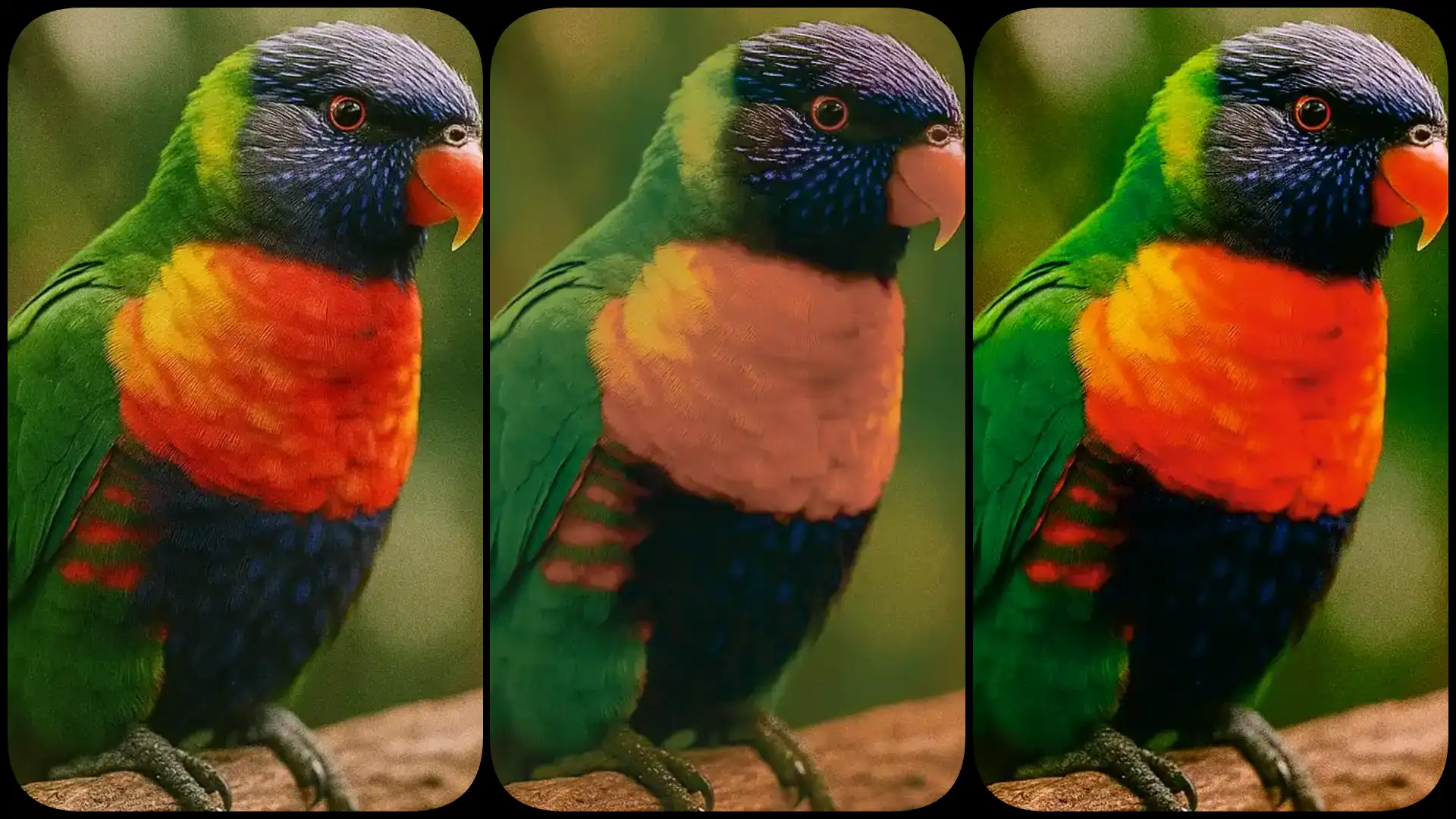 RGB to CMYK Converter