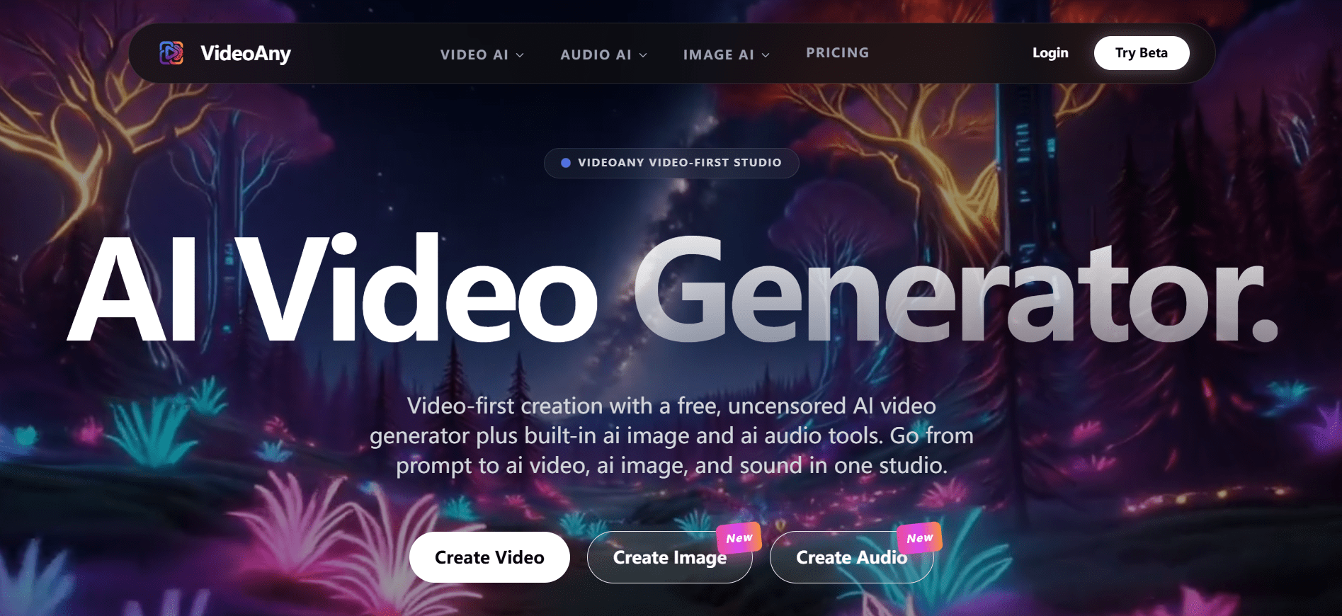 VideoAny